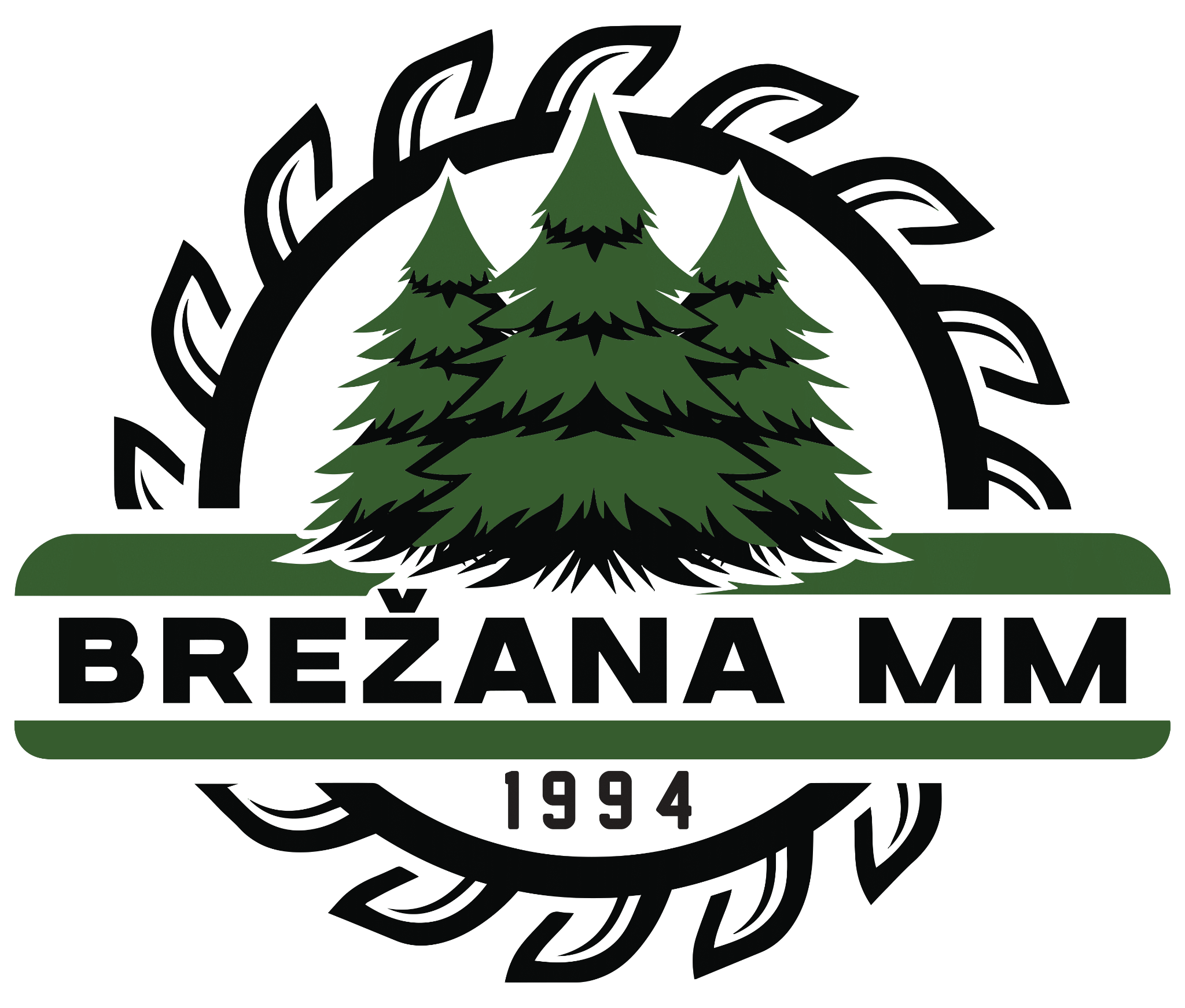 Company image